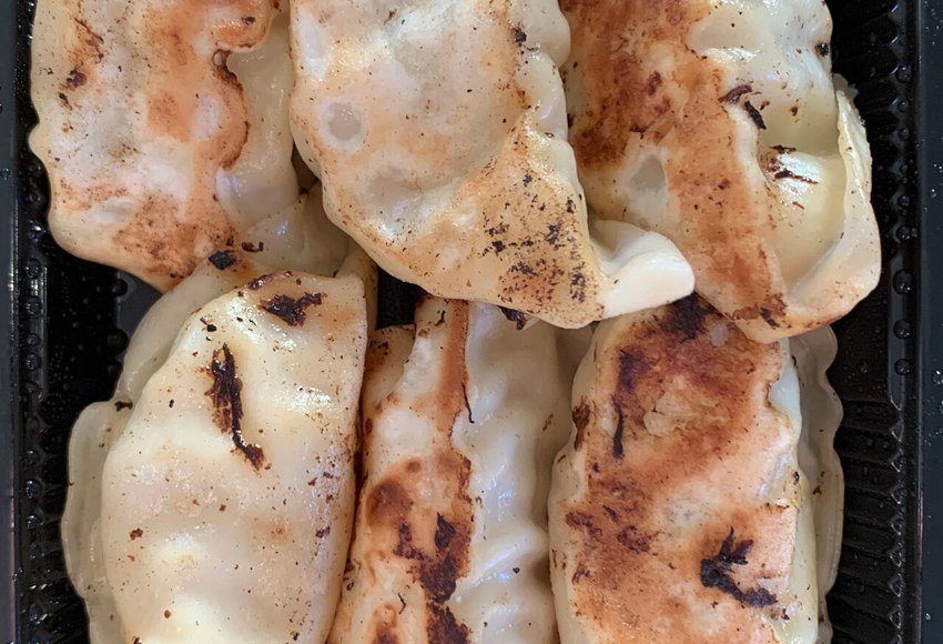 Prepared gyoza dumplings