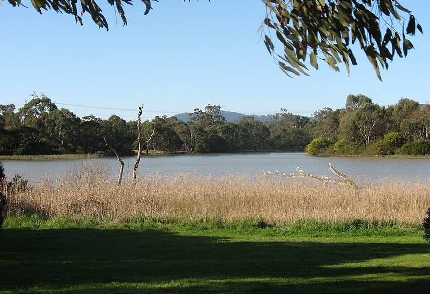 Jells Park 1