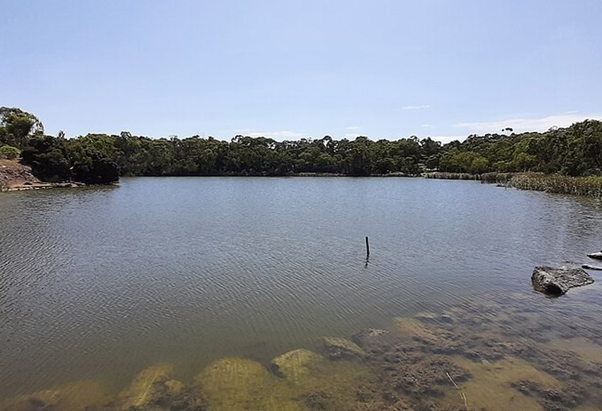 Newport Lakes