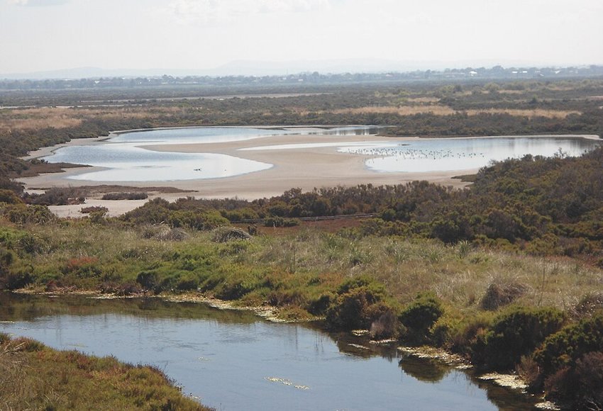 Cheetham Wetlands
