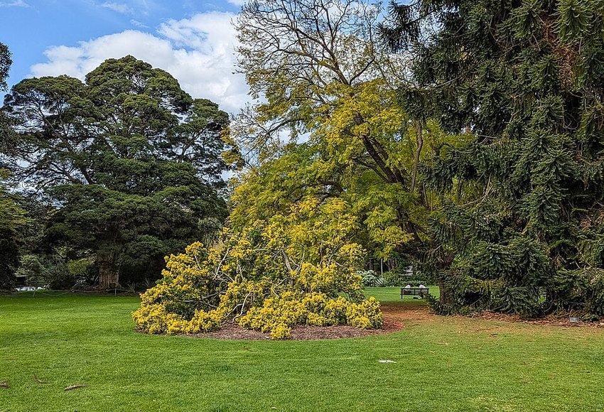 Melbourne activity photograph
