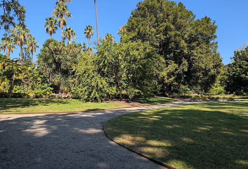 Trees and paths in Williamstown Botanic Gardens in Williamstown, Melbourne