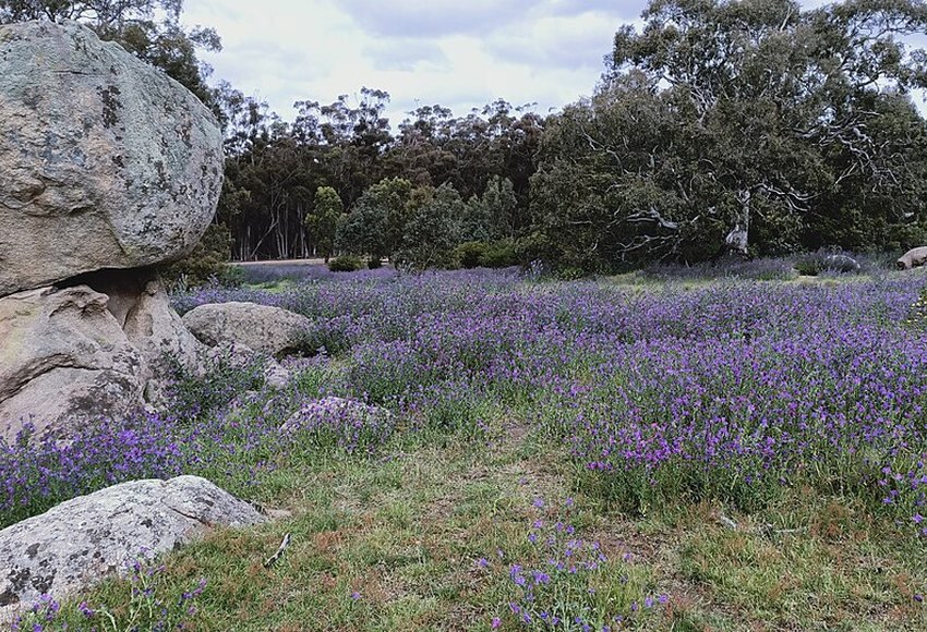 Woodlands Historic Park Greenvale